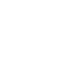 SSEM